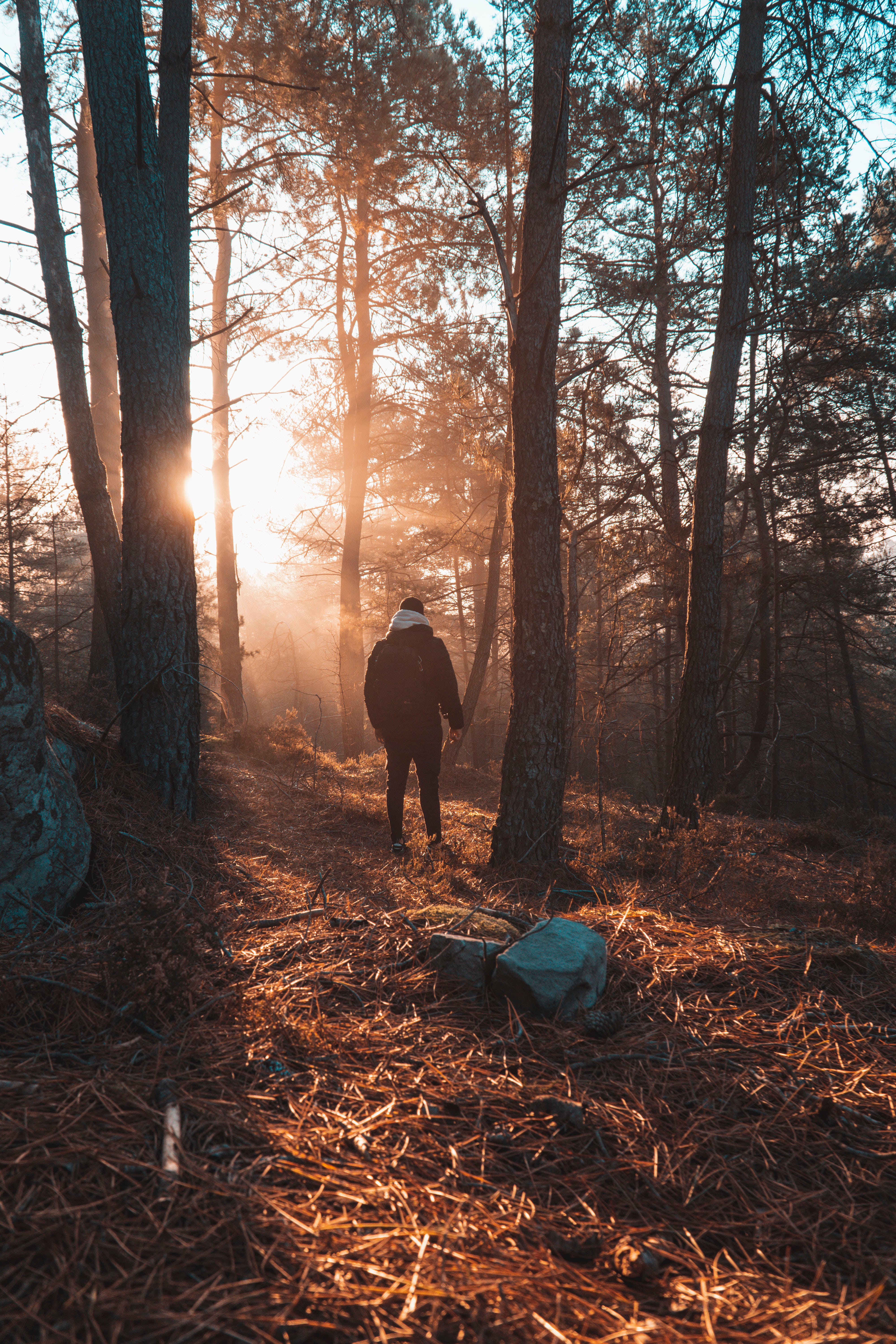 Native man walking through the forest