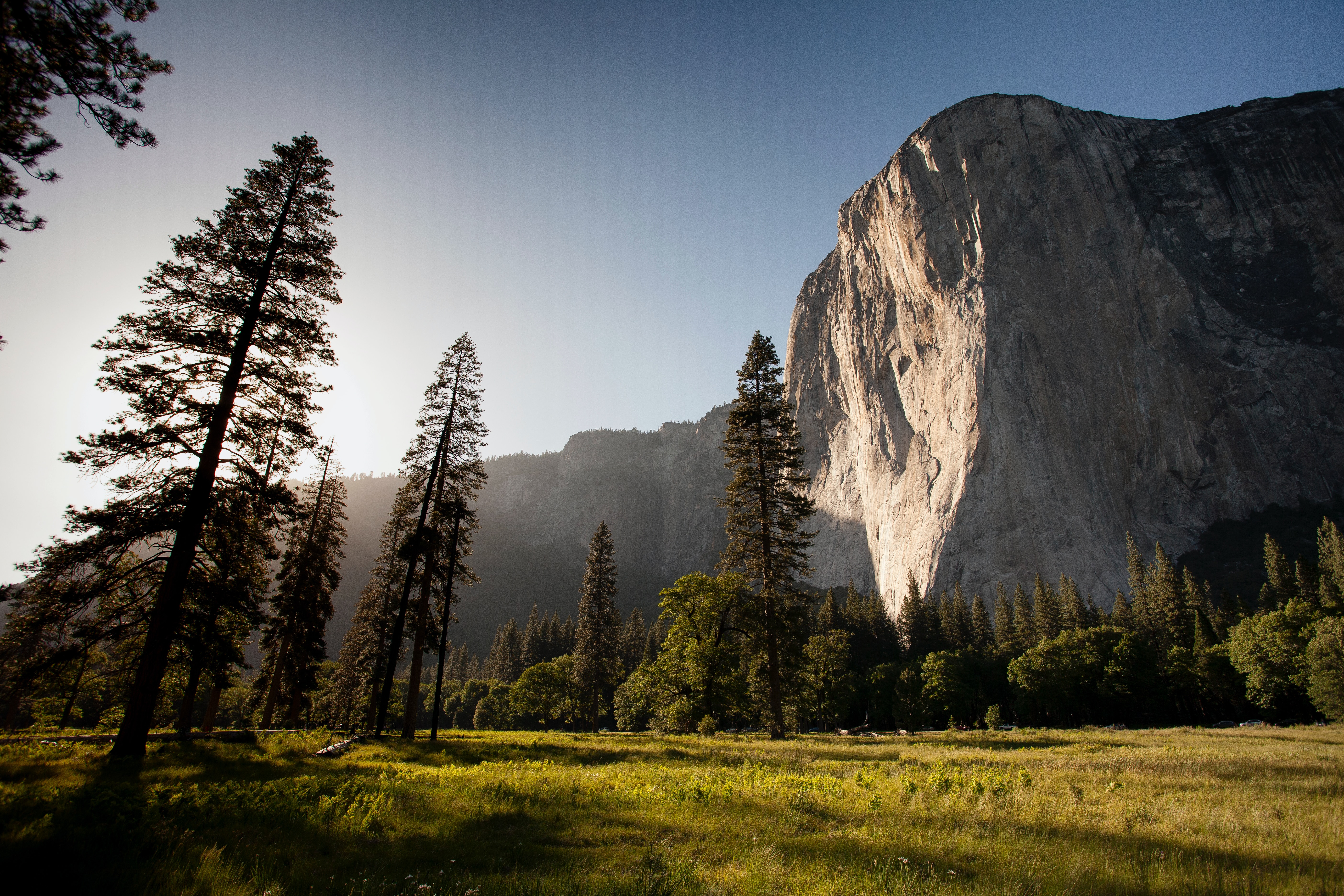 Green meadow with a blue sky and mountains in the background